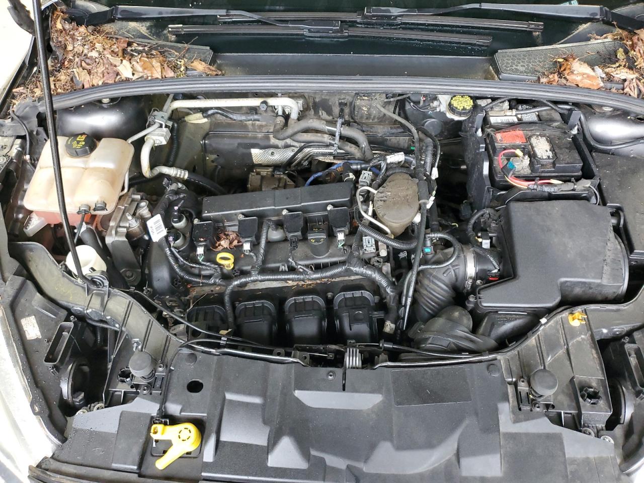 Ford Focus Se Image 6