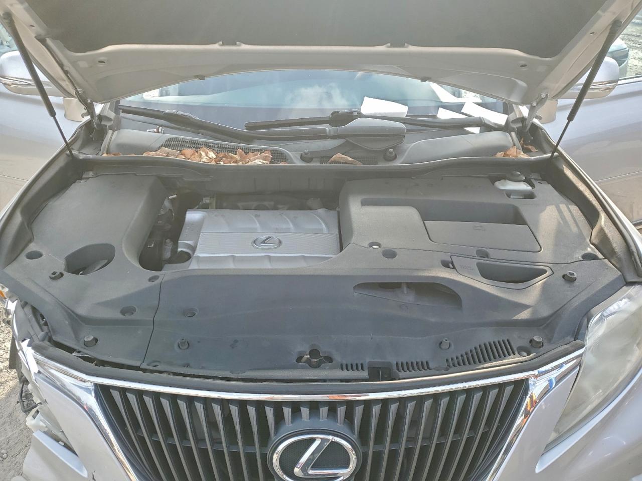 Lexus RX 350 Image 7