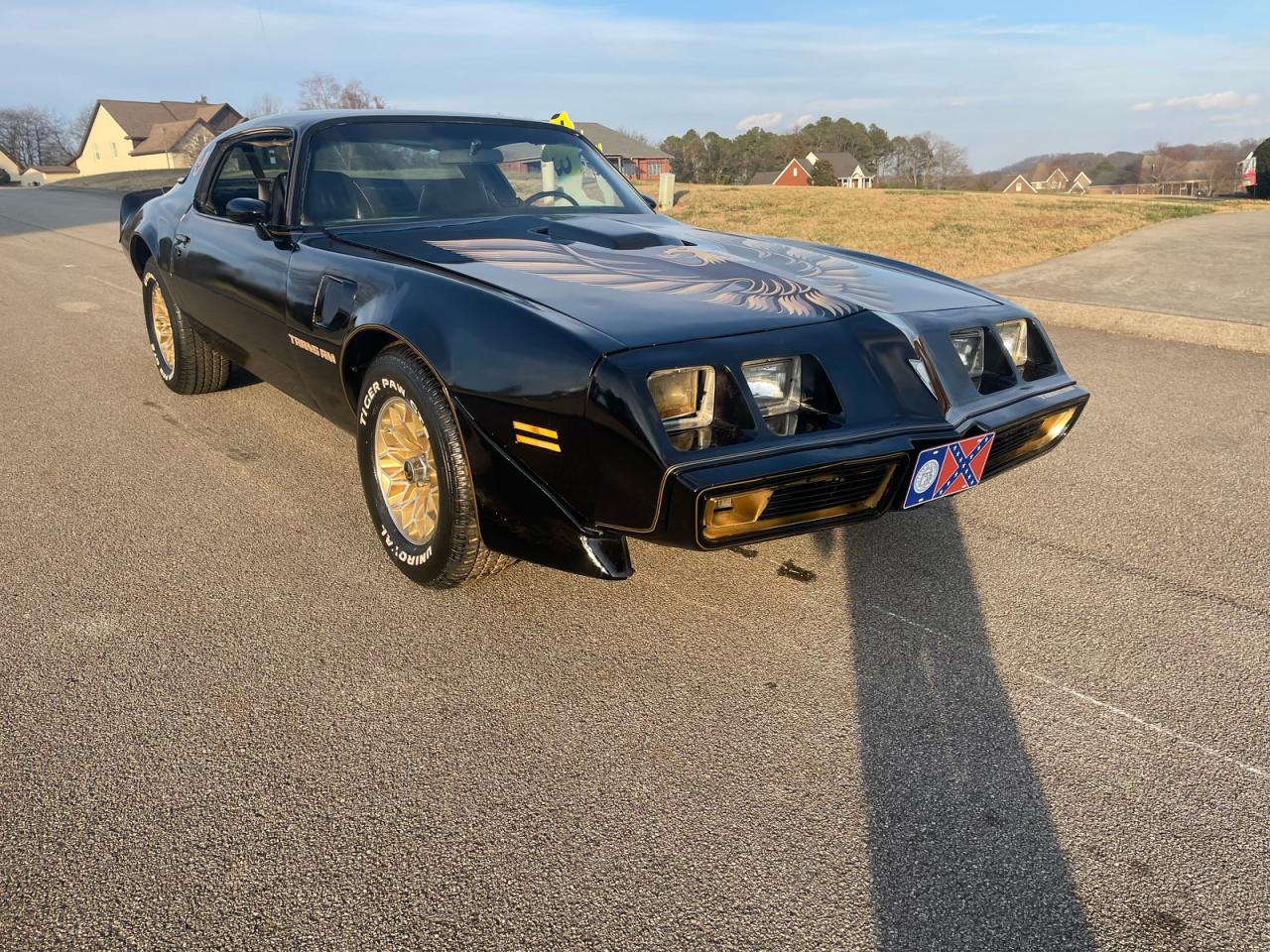 Pontiac Firebird Image 1