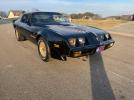 Pontiac Firebird Image 1