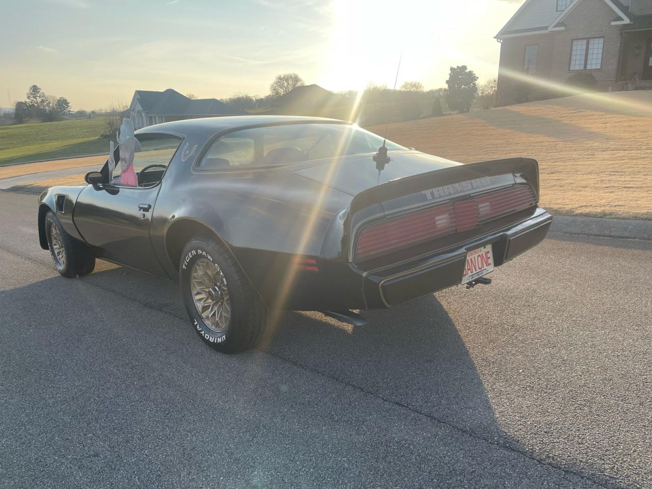 Pontiac Firebird Image 2