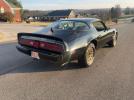 Pontiac Firebird Image 5
