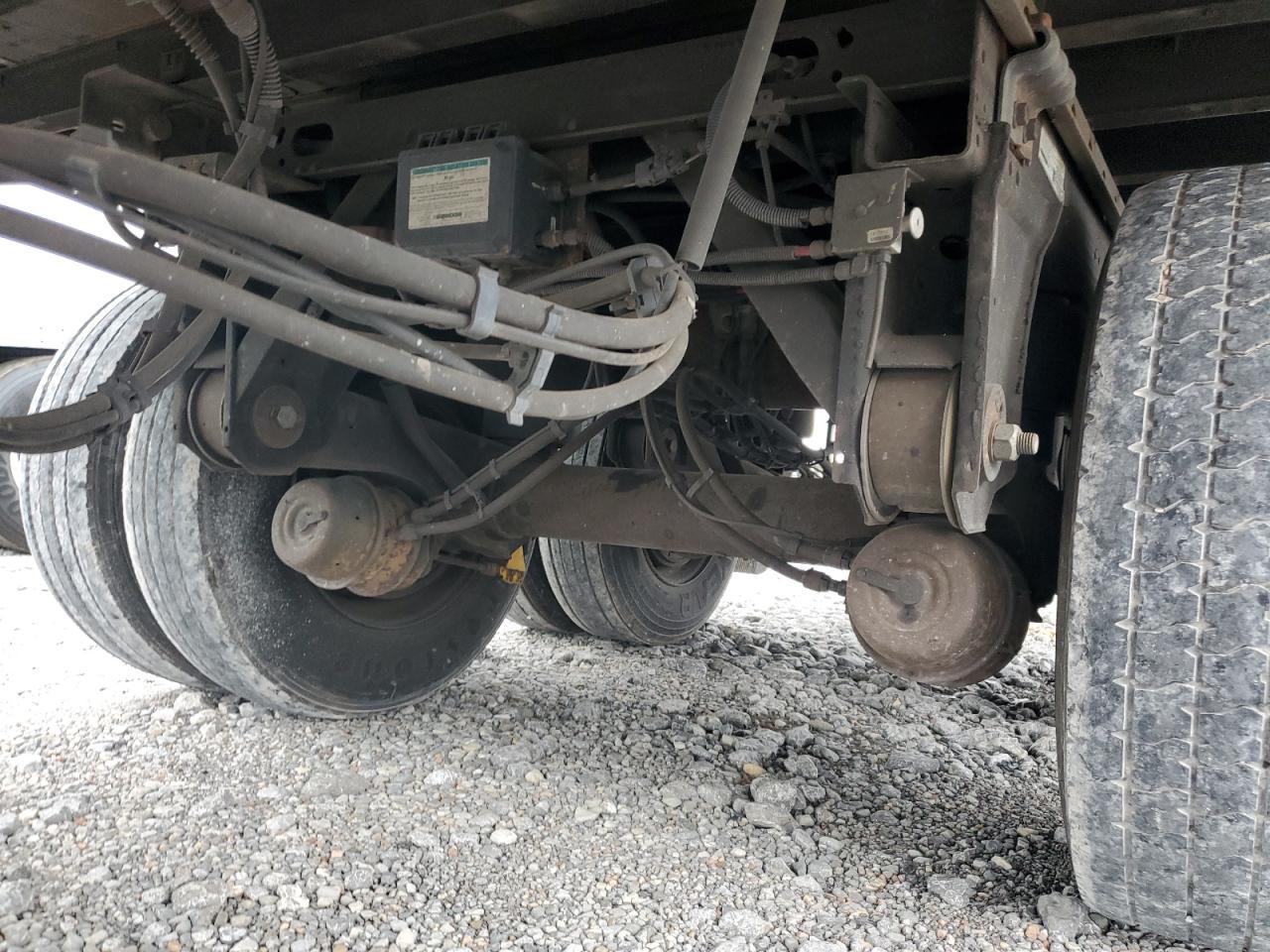 Great Dane Other Image 3