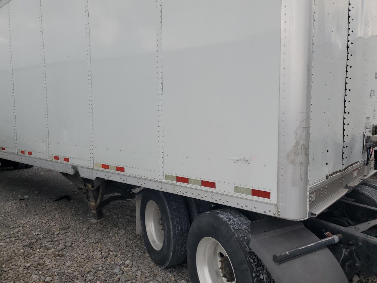 Great Dane Other Image 5