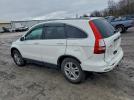 Honda Crv Exl Image 2