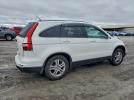 Honda Crv Exl Image 3