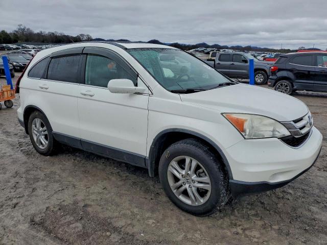 Honda Crv Exl Image 6