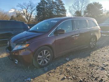  Salvage Honda Odyssey