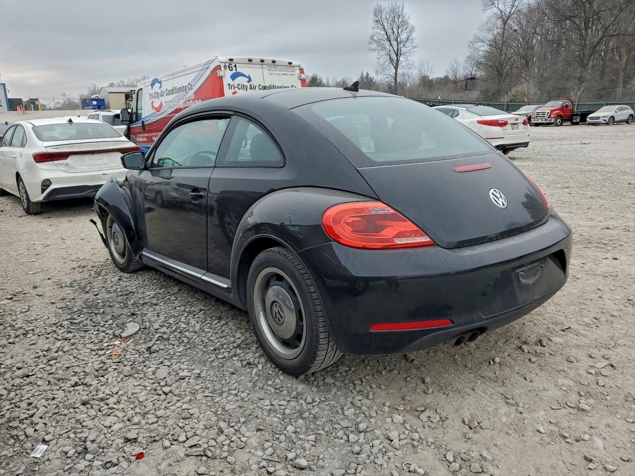 Volkswagen Beetle Image 6