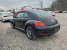 Volkswagen Beetle Image 6