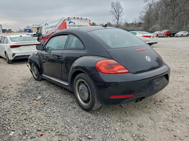 Volkswagen Beetle Image 6
