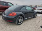Volkswagen Beetle Image 2