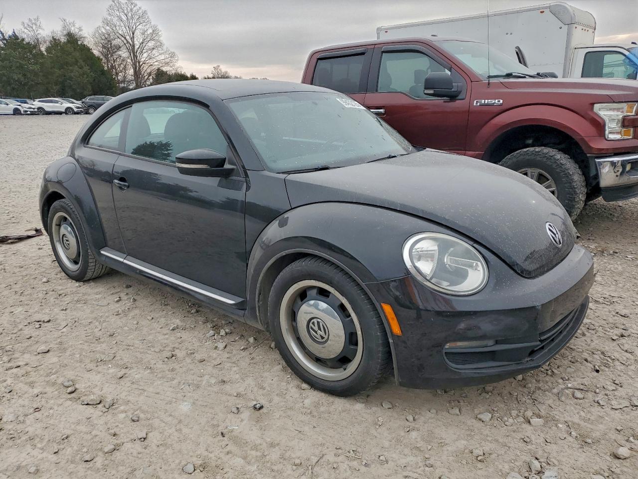 Volkswagen Beetle Image 7