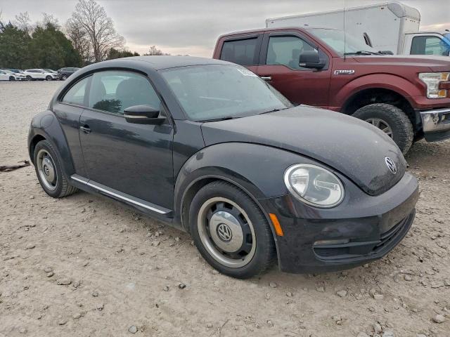 Volkswagen Beetle Image 7