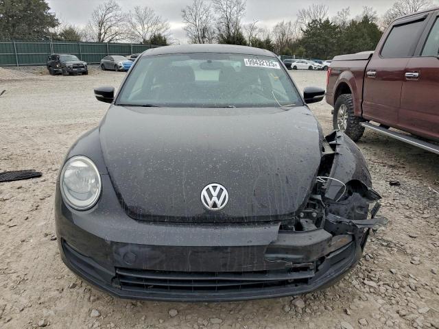 Volkswagen Beetle Image 5