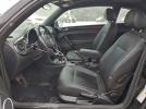 Volkswagen Beetle Image 12