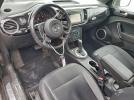 Volkswagen Beetle Image 3