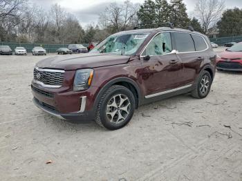  Salvage Kia Telluride