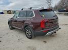 Kia Telluride Ex Image 9
