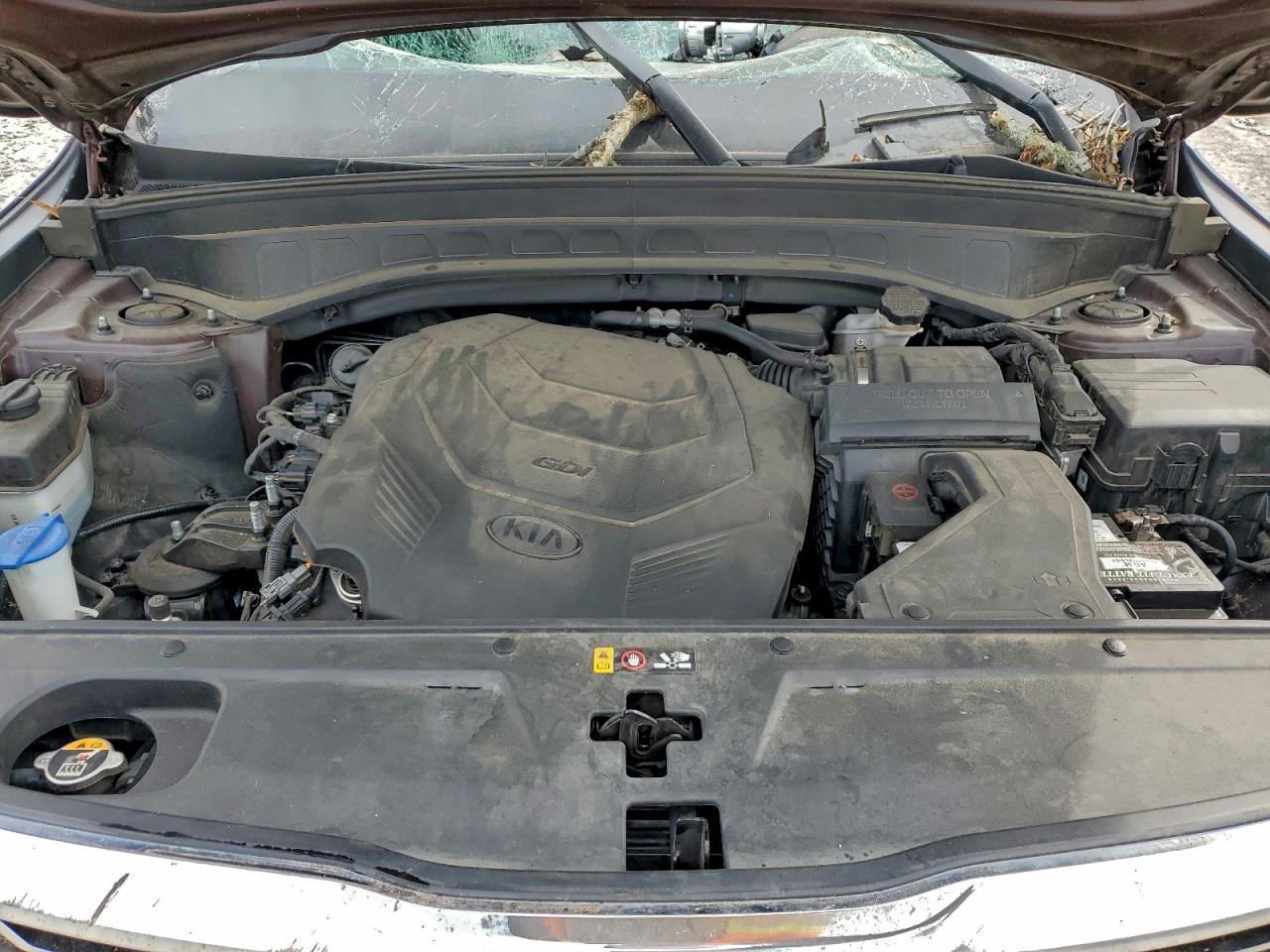 Kia Telluride Ex Image 2